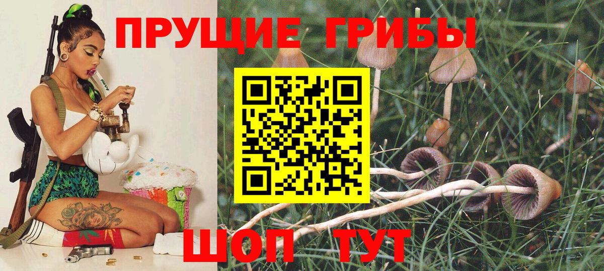 Псилоцибиновые грибы мицелий  Вход с VPN  Псилоцибиновые грибы Magic Shrooms  Рузаевка 